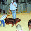 The Marlow Ag Boosters held its annual Winter Classic fundraiser this past weekend at the Stephens County Fairgrounds.
