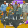 NEAR-PERFECT DAY: Sisters Emma and Avery Throckmorton received several high honors during the opening day of the Stephens County Junior Livestock Show on Tuesday. Pictured with Emma’s grand champion gilt are: (from left) Wes Phillips, Nicole Throckmorton, Avery Throckmorton, Brady Throckmorton, Emma Throckmorton and swine judge Rex Smith.